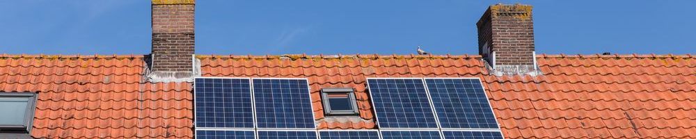 Dakinspectie Renswoude